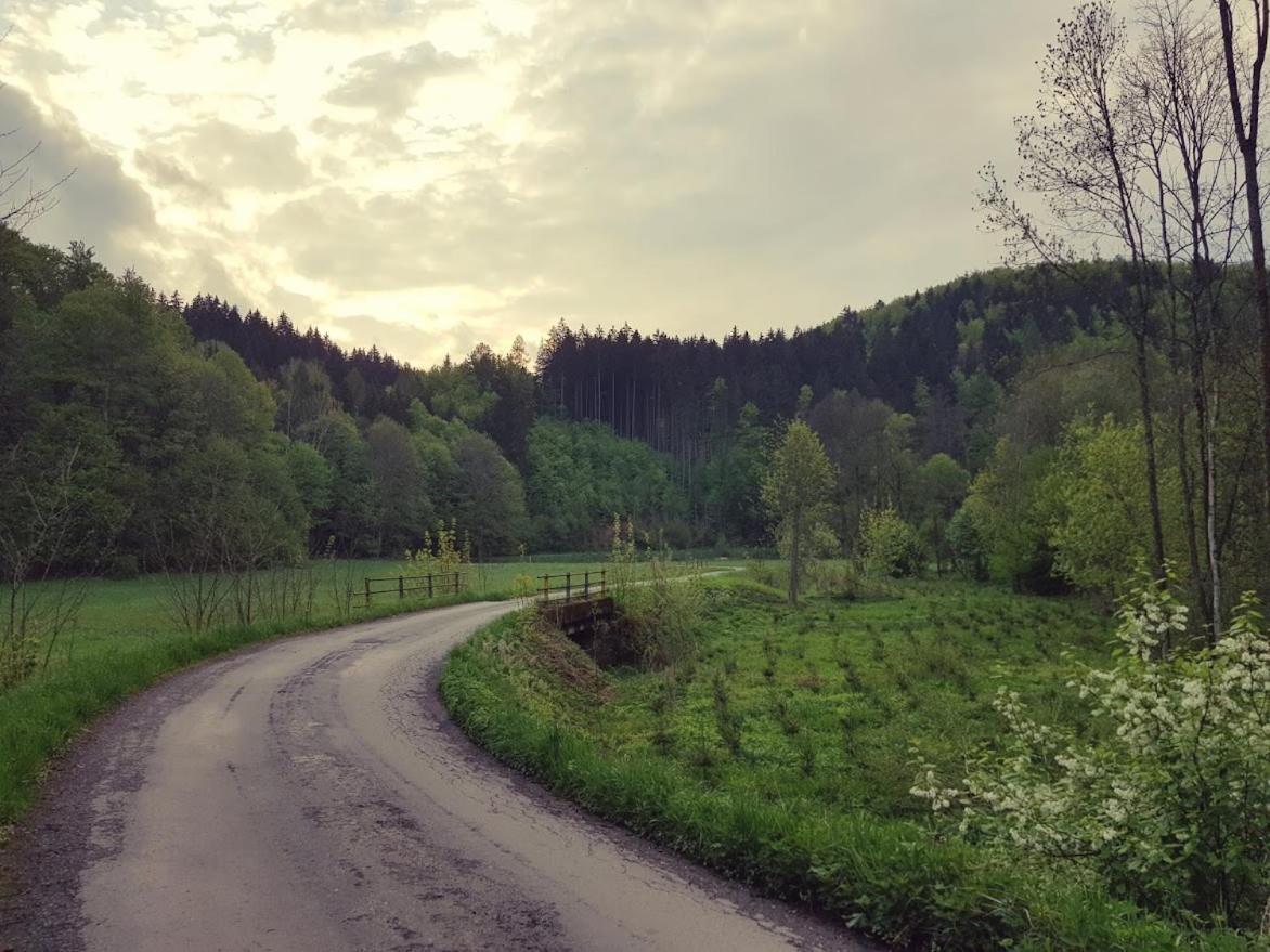 Schupplerova Vila Hostejn Exteriör bild