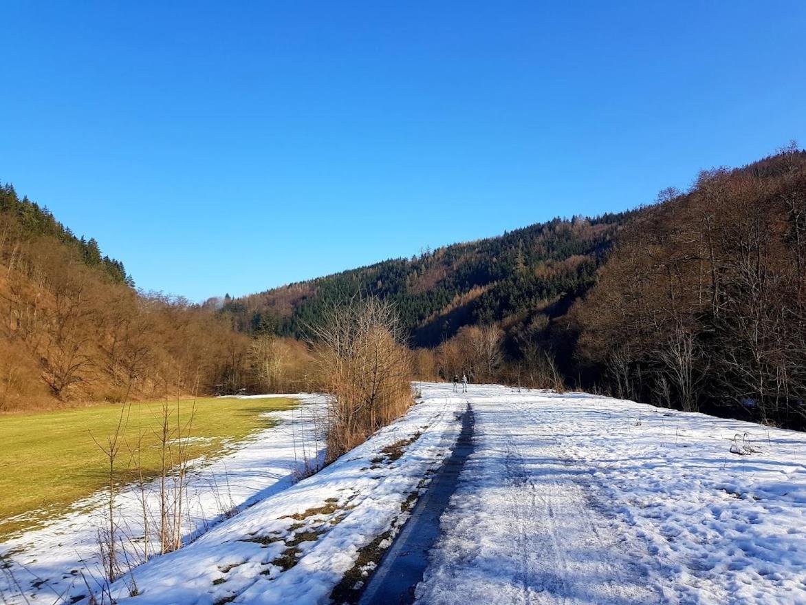 Schupplerova Vila Hostejn Exteriör bild
