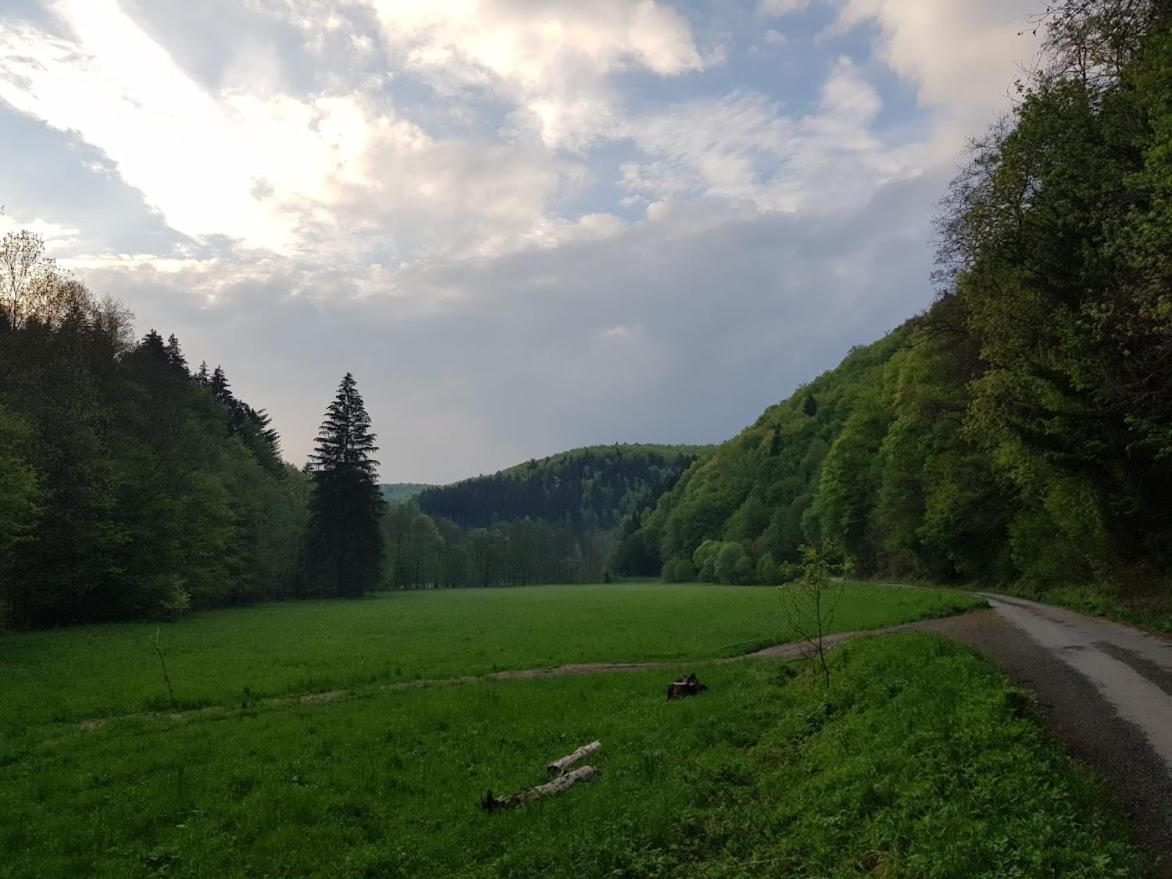 Schupplerova Vila Hostejn Exteriör bild